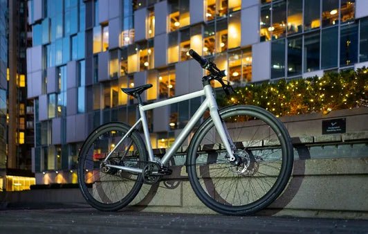 Lightweight, Pinion eBikes - Dutch Cargo (AU)