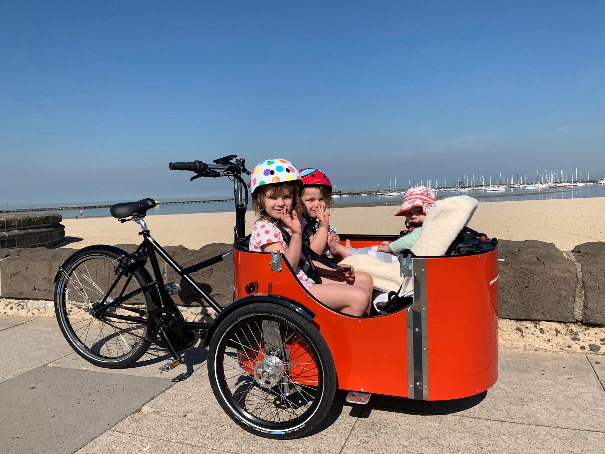 Dutch cargo online trike