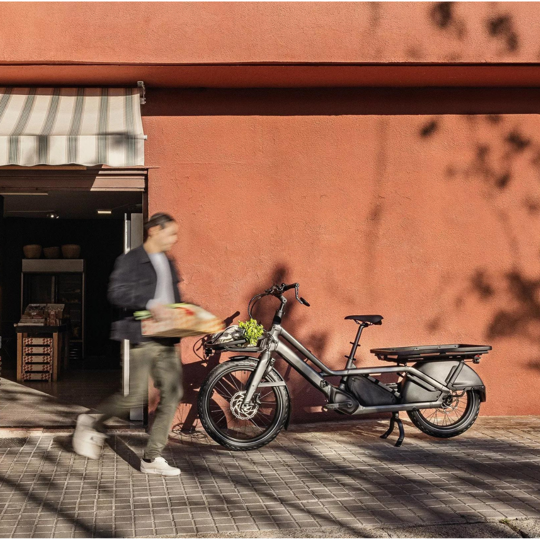 electric bikes