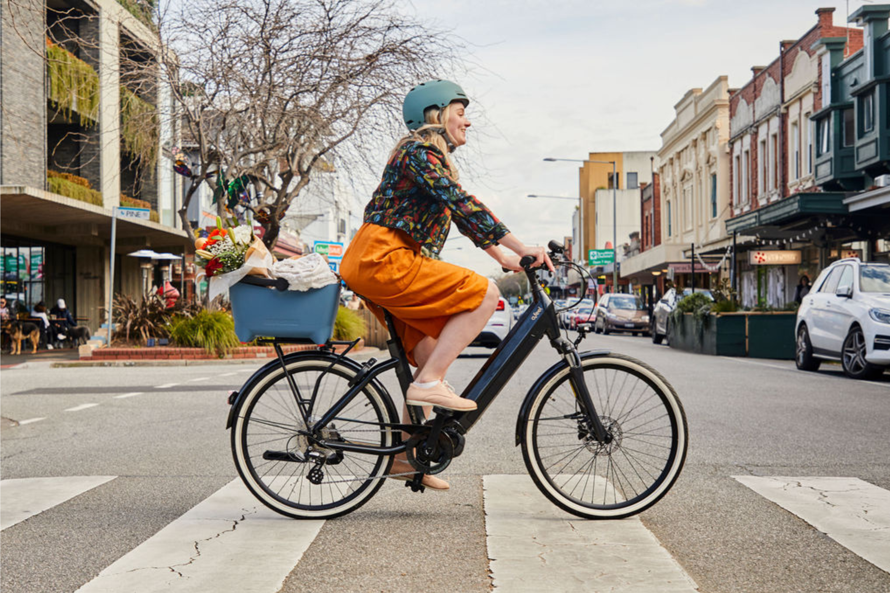 dutch e-bike sidney