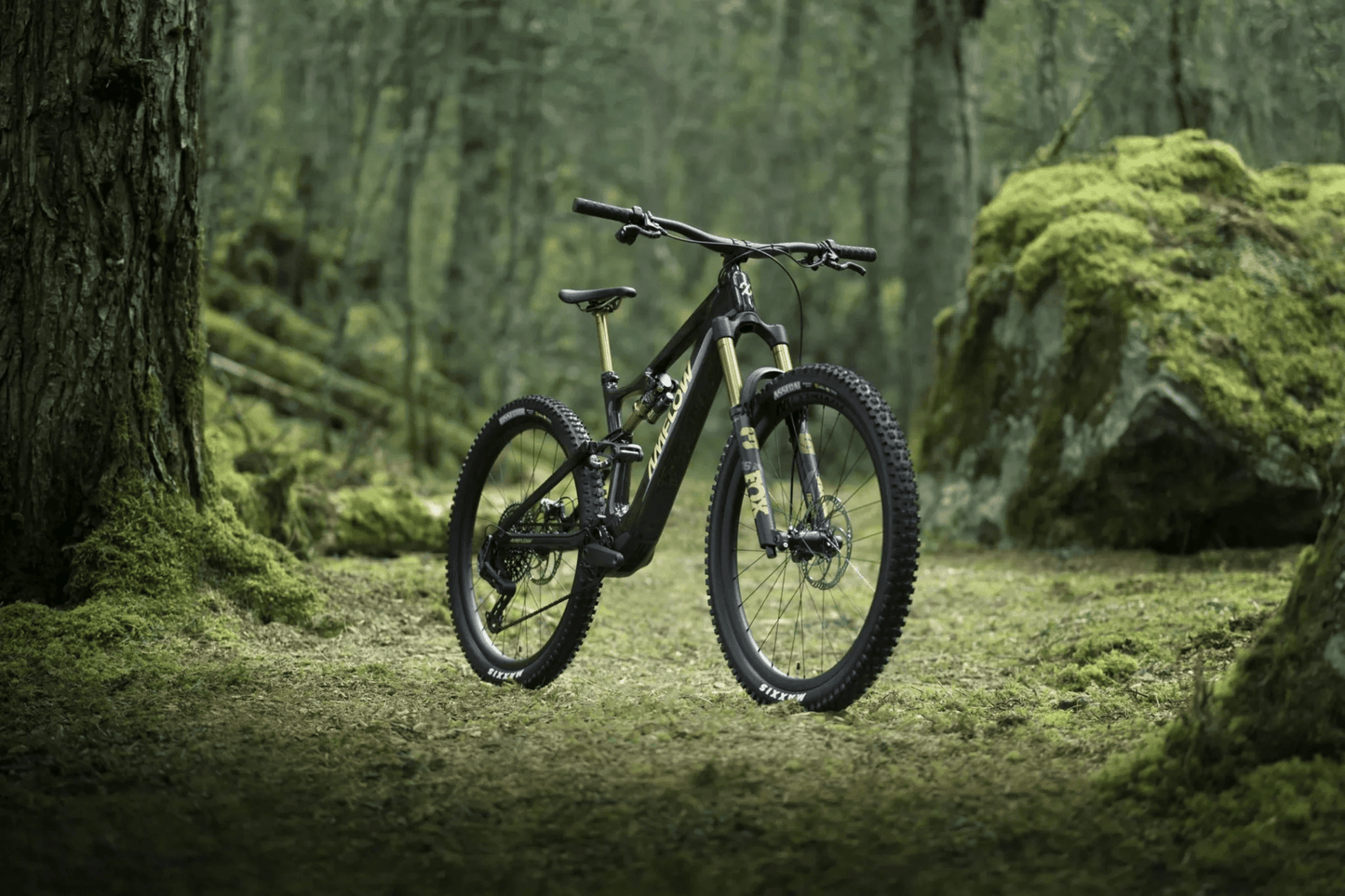 Amflow PL Carbon eMTB - Dutch Cargo (AU) - Amflow - E - bike - Amflow PL Carbon eMTB