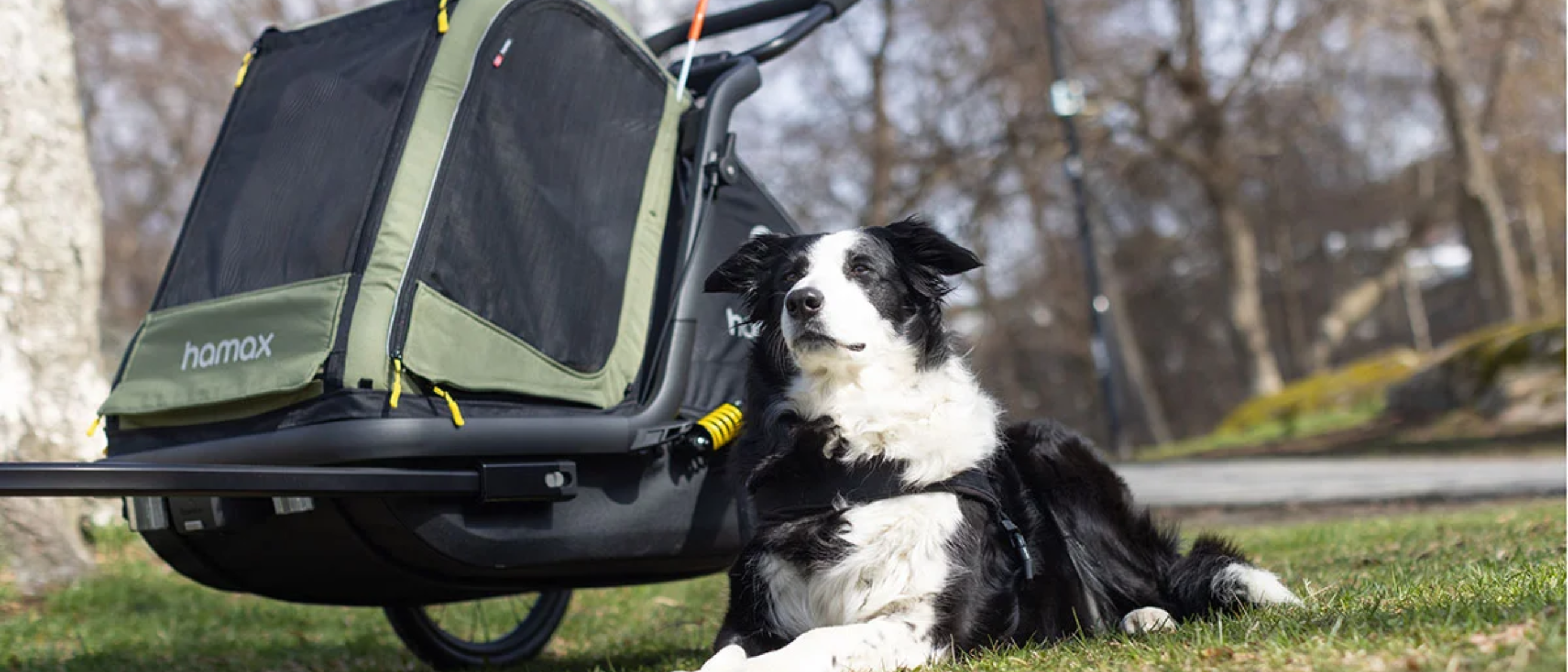 bike trailer child seat