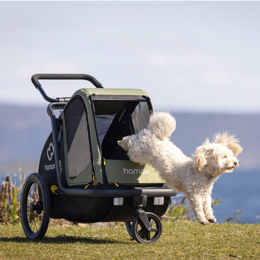 e bike for baby