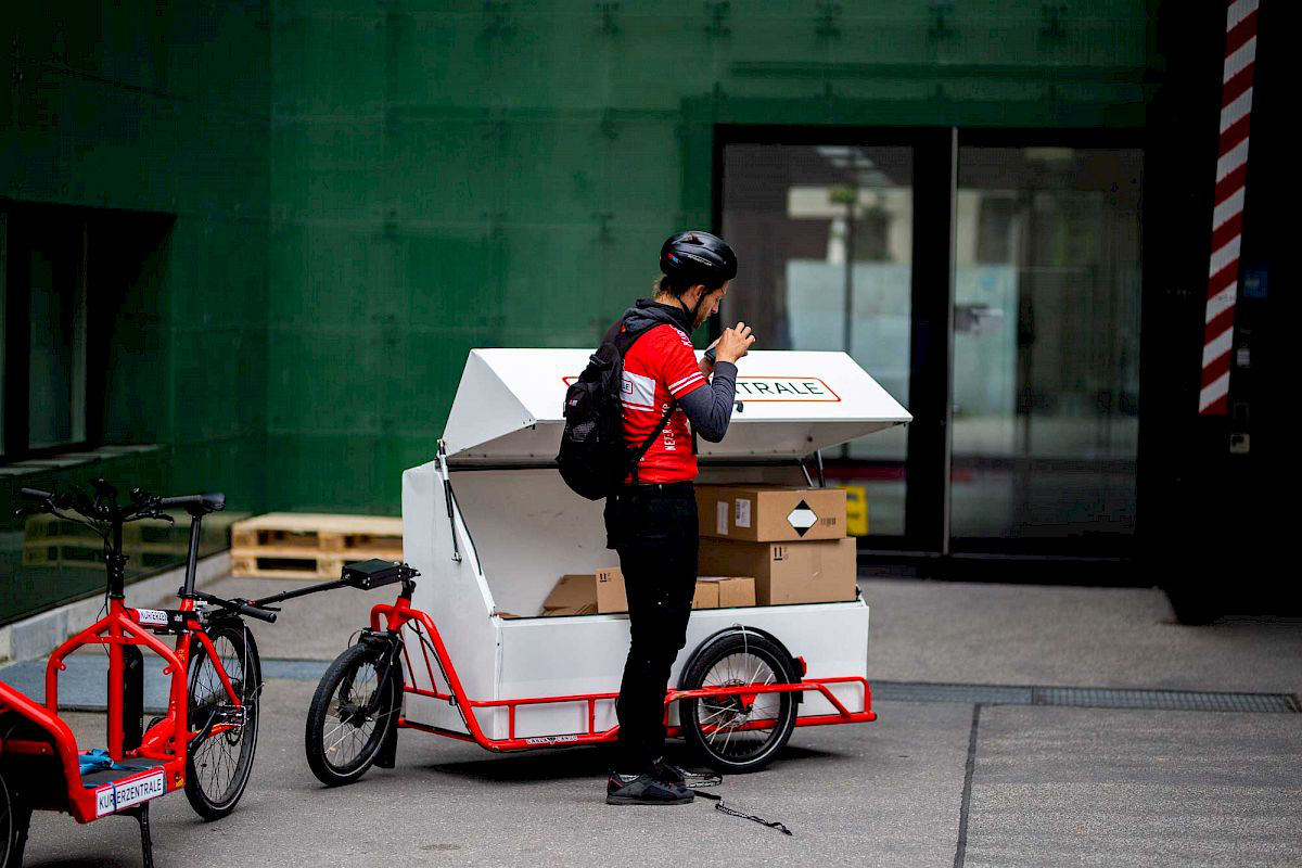 Electric cargo trailer