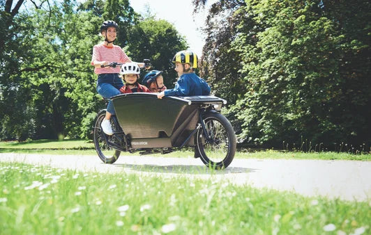urban arrow picnic lifestyle