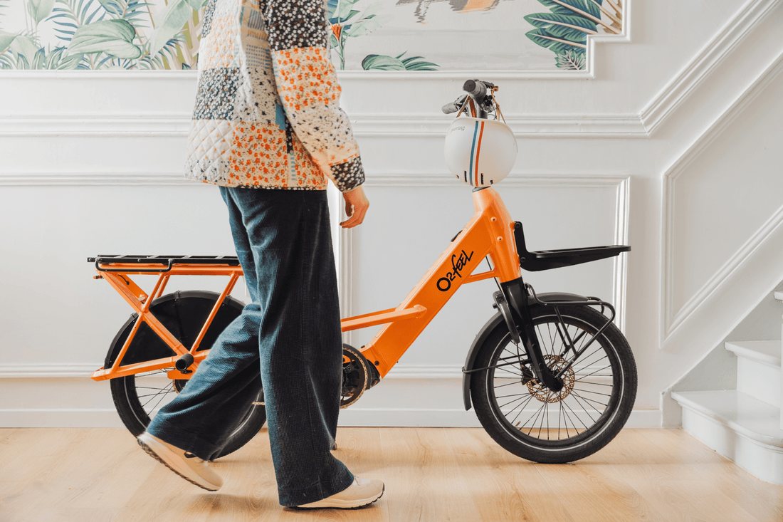 Electric Vehicle vs eBike: Which Saves You More Money in Melbourne? - Dutch Cargo (AU)