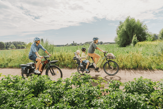 Why Ditching the Car for Short Trips Is the Smartest Move - Dutch Cargo (AU)