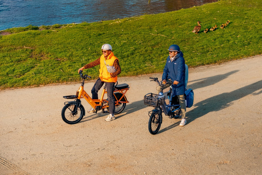 How Far Can an eBike Go? - Dutch Cargo (AU)