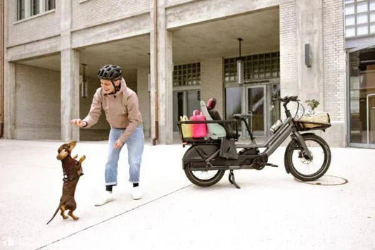 How More Riders Create Better Cities in Australia - Dutch Cargo (AU)