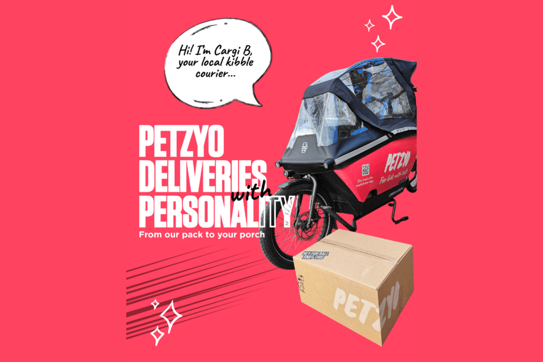 The Best for Your Pet: From Nutrition to Adventure - Dutch Cargo (AU)