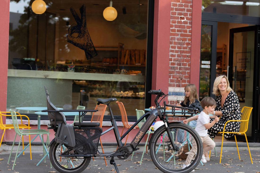 Rear Loading Cargo Bike 101: The Ultimate Guide to Rear Load eBikes ...