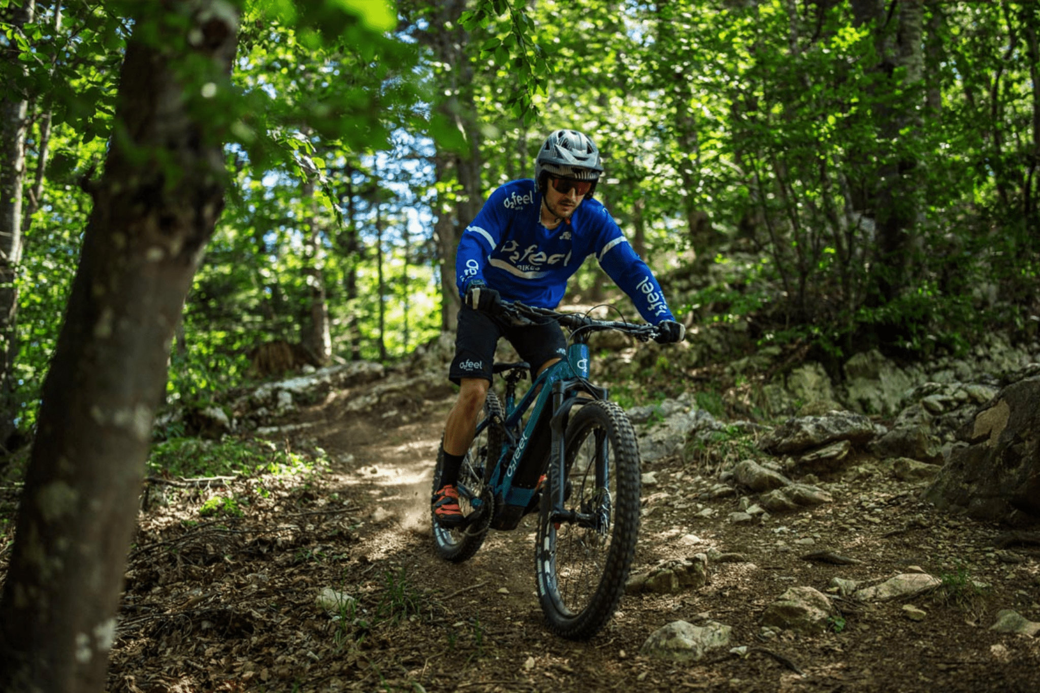 Electric Mountain Bikes - Dutch Cargo (AU)