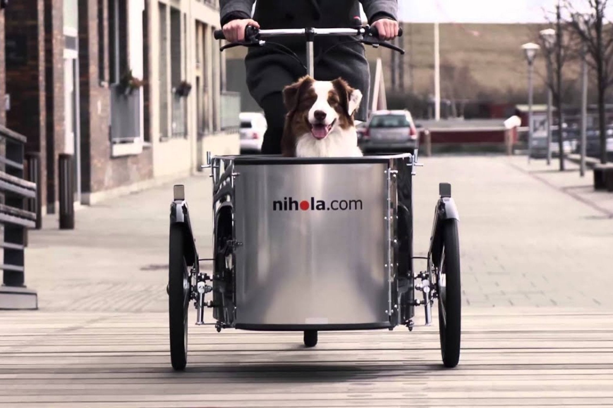 Dog Bikes - Dutch Cargo (AU)