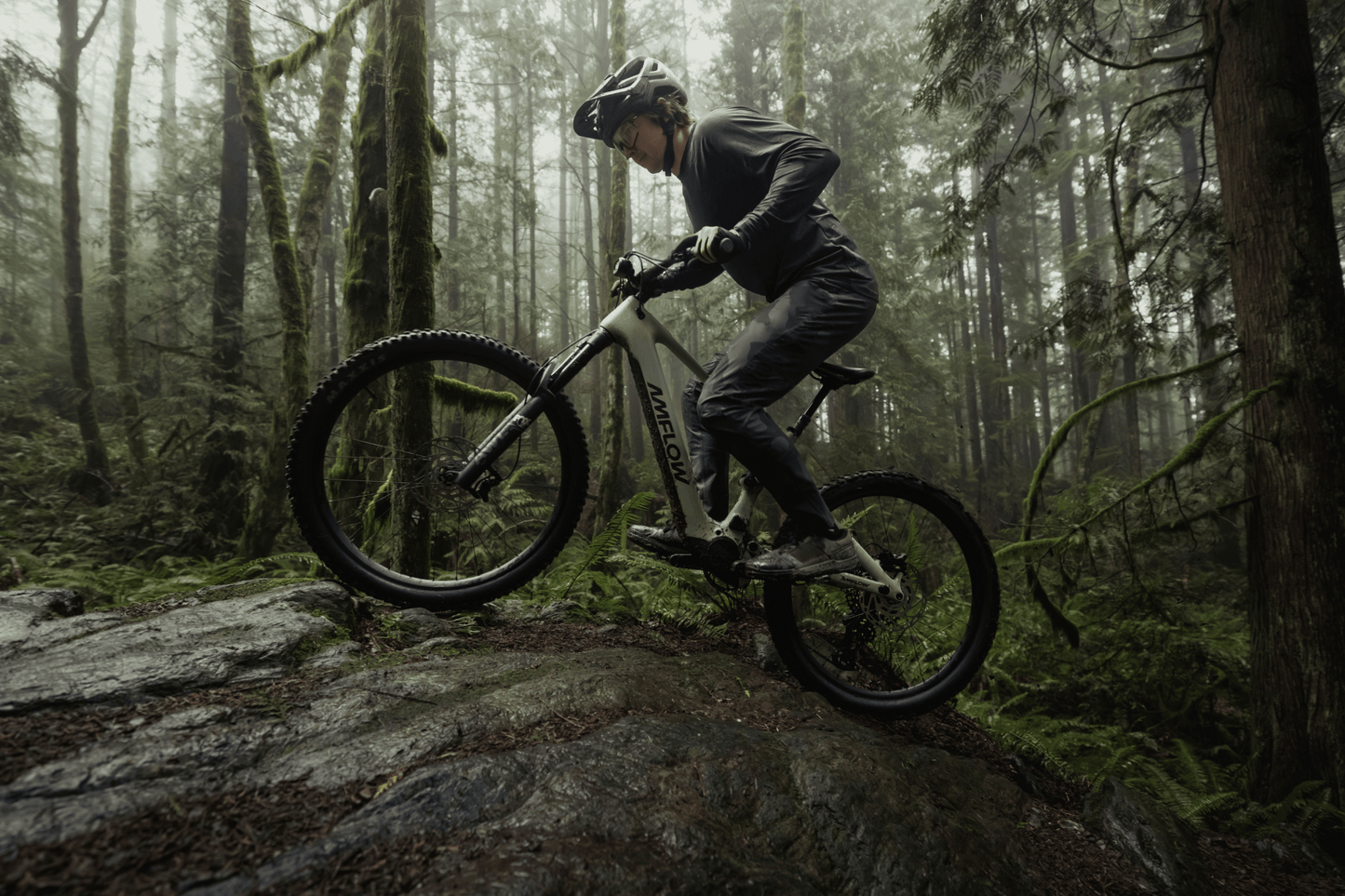 Amflow PR Carbon eMTB 2027 - Dutch Cargo (AU) - Amflow - E - bike - Amflow PR Carbon eMTB 2027