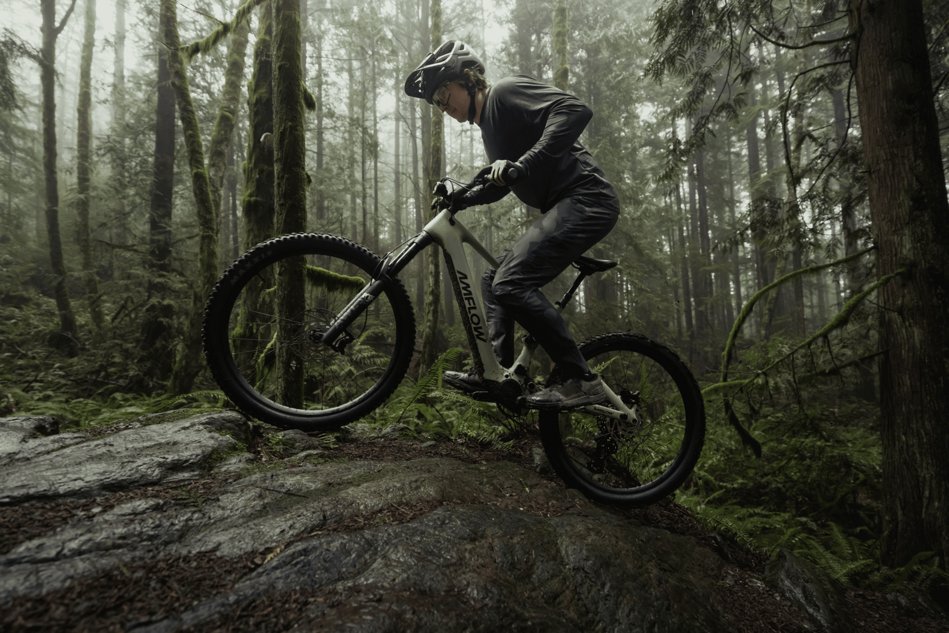 Amflow PR Carbon eMTB 2027 - Dutch Cargo (AU) - Amflow - E - bike - Amflow PR Carbon eMTB 2027