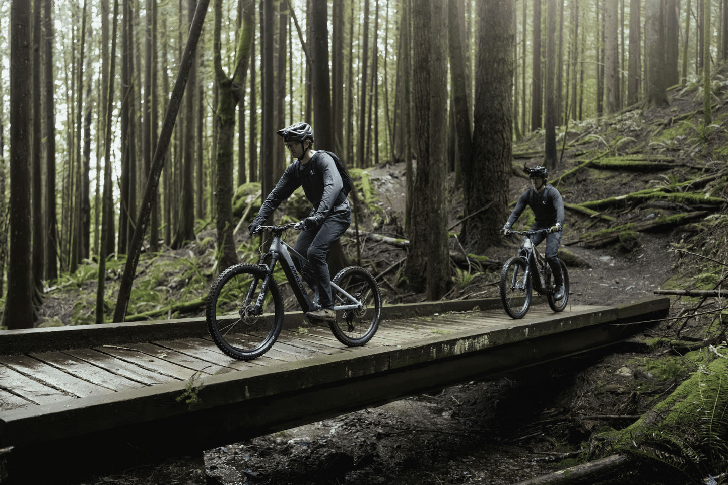 Amflow PR Carbon eMTB 2027 - Dutch Cargo (AU) - Amflow - E - bike - Amflow PR Carbon eMTB 2027