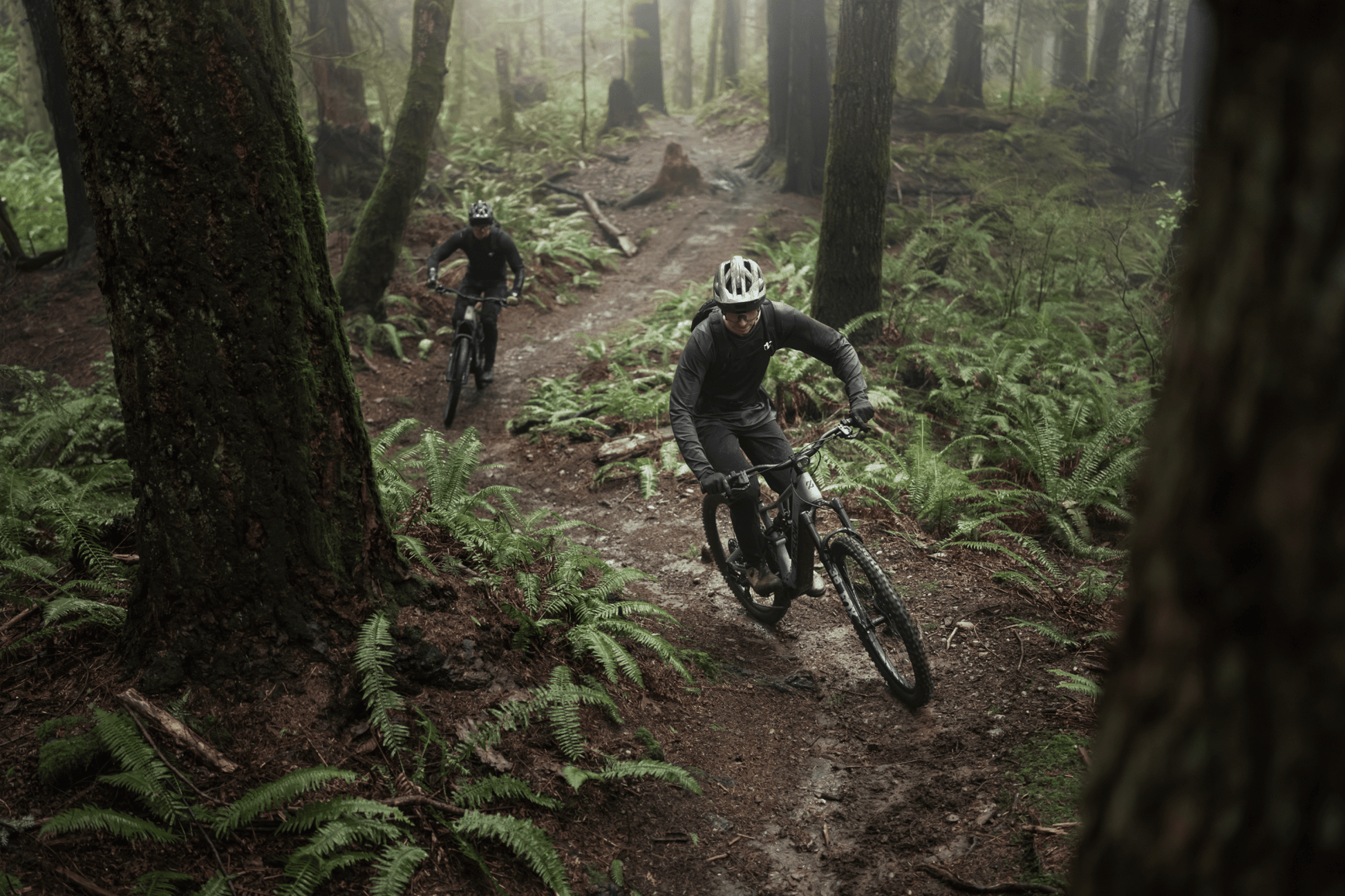 Amflow PR Carbon eMTB 2027 - Dutch Cargo (AU) - Amflow - E - bike - Amflow PR Carbon eMTB 2027