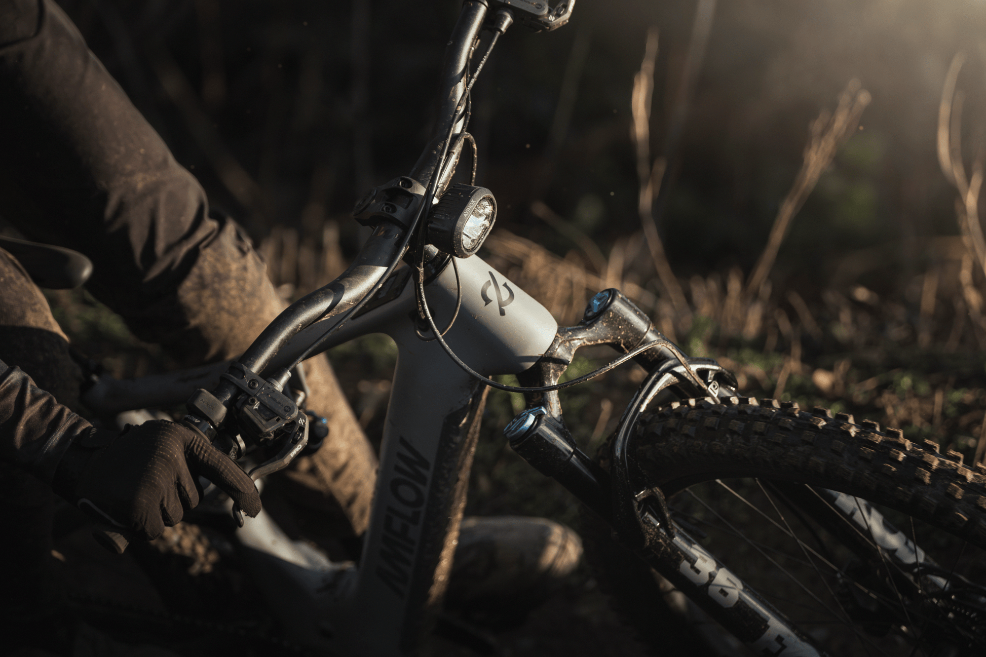 Amflow PR Carbon eMTB 2027 - Dutch Cargo (AU) - Amflow - E - bike - Amflow PR Carbon eMTB 2027