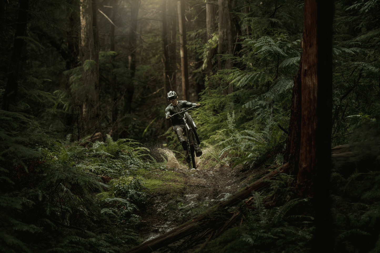 Amflow PR Carbon eMTB 2027 - Dutch Cargo (AU) - Amflow - E - bike - Amflow PR Carbon eMTB 2027