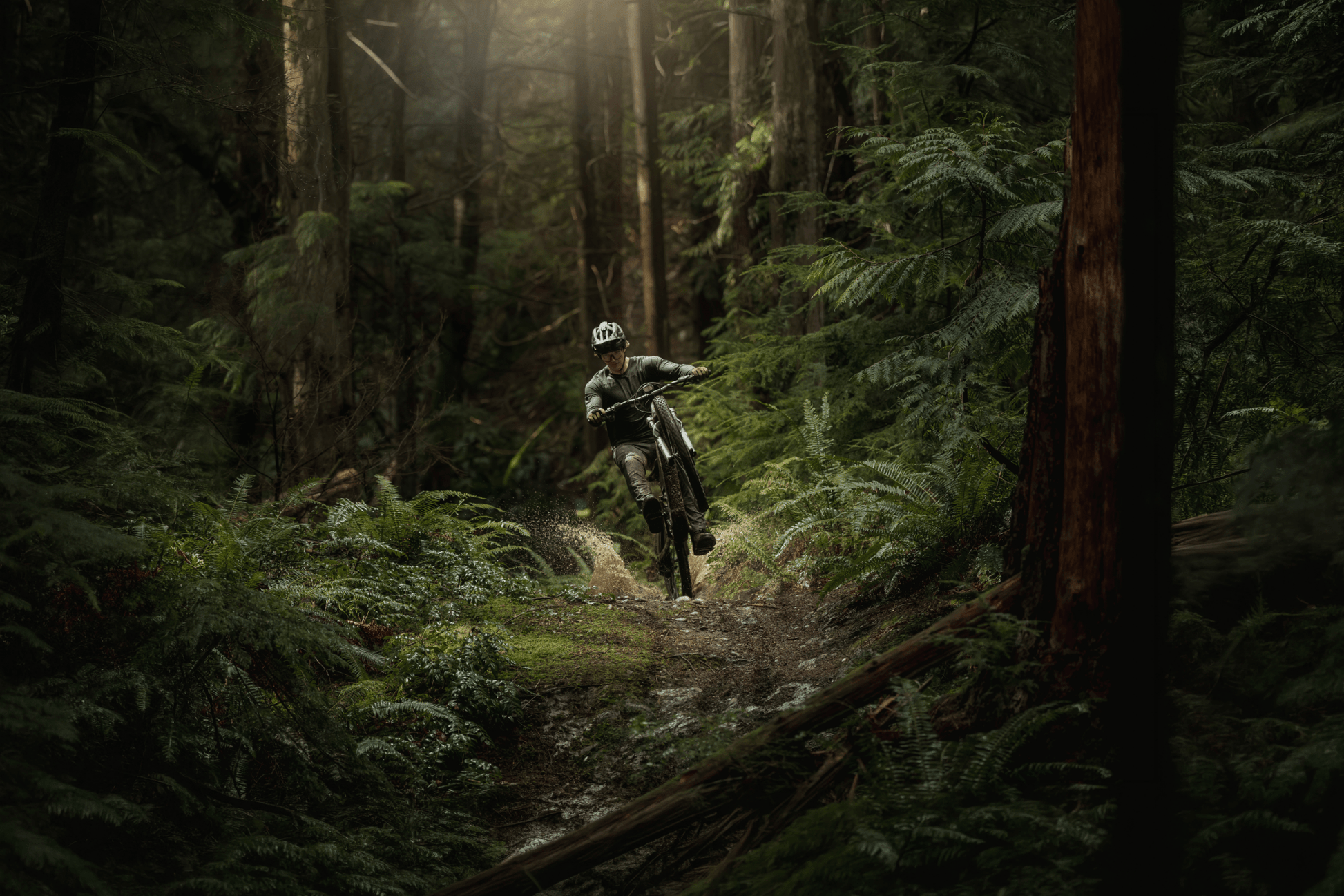 Amflow PR Carbon eMTB 2027 - Dutch Cargo (AU) - Amflow - E - bike - Amflow PR Carbon eMTB 2027