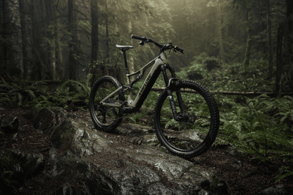 Amflow PR Carbon eMTB 2027 - Dutch Cargo (AU) - Amflow - E - bike - Amflow PR Carbon eMTB 2027