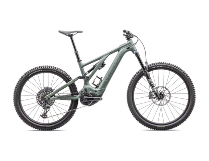 Specialized Turbo Levo Electric Bike