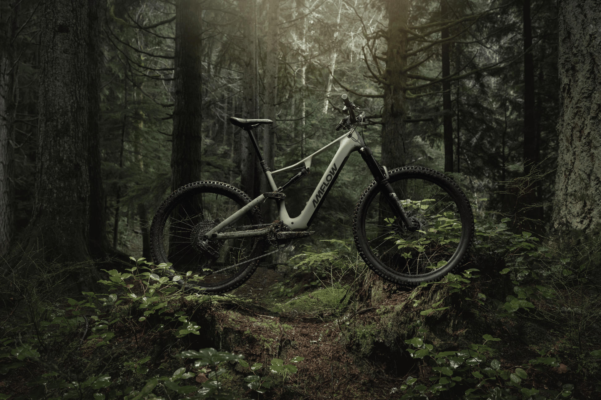 Amflow PR Carbon eMTB 2027 - Dutch Cargo (AU) - Amflow - E - bike - Amflow PR Carbon eMTB 2027