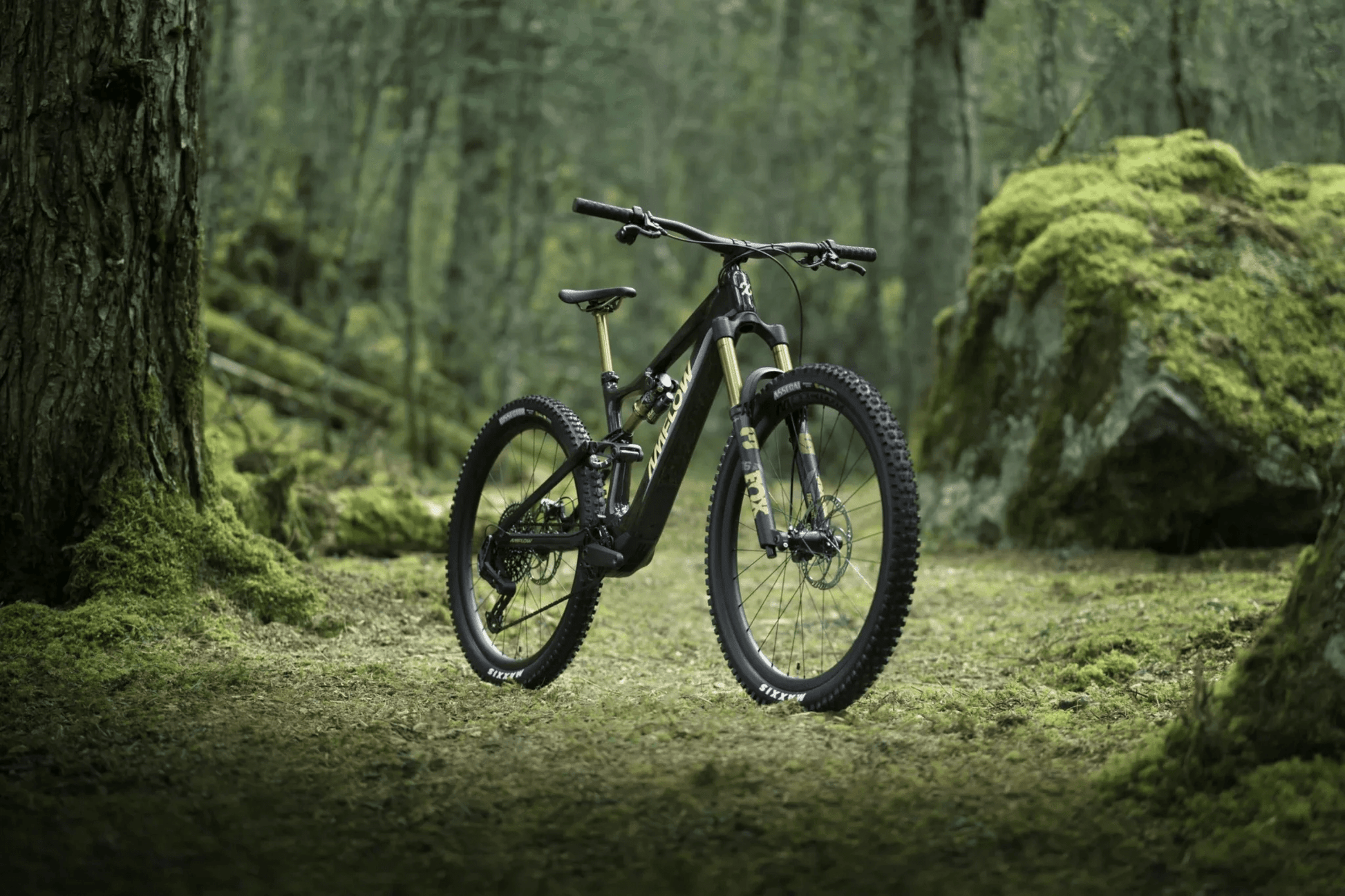 Amflow PL Carbon eMTB - Dutch Cargo (AU) - Amflow - E - bike - Amflow PL Carbon eMTB