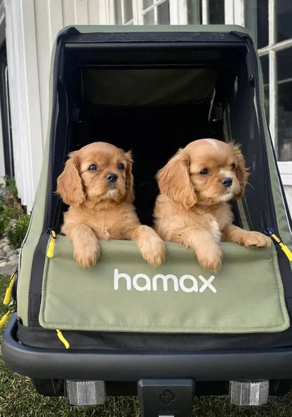 Hamax Pluto Dog Trailer Medium - Dutch Cargo (AU) - Hamax Accessories - Accessories - Hamax Pluto Dog Trailer Medium