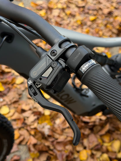 Amflow PR Carbon eMTB 2027