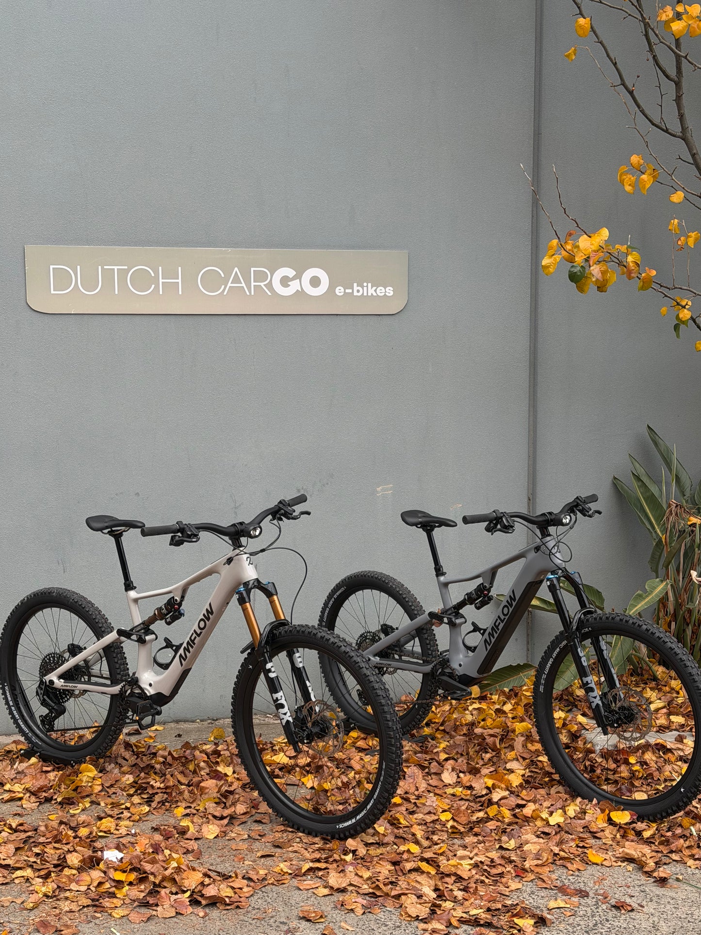 Amflow PX Pro Carbon eMTB 2027