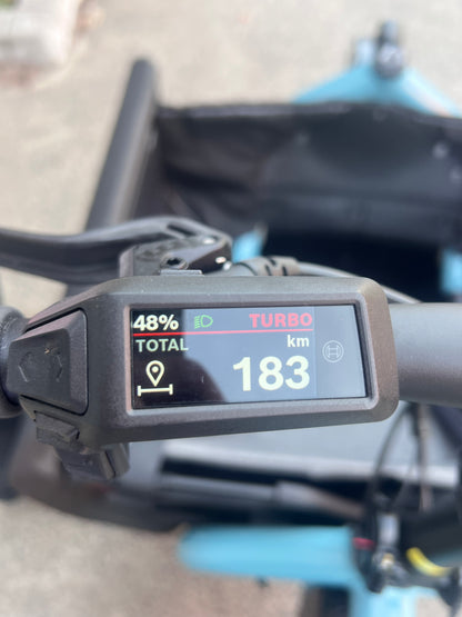 Riese & Muller Carrie Electric Cargo Bike (Pre-Loved)
