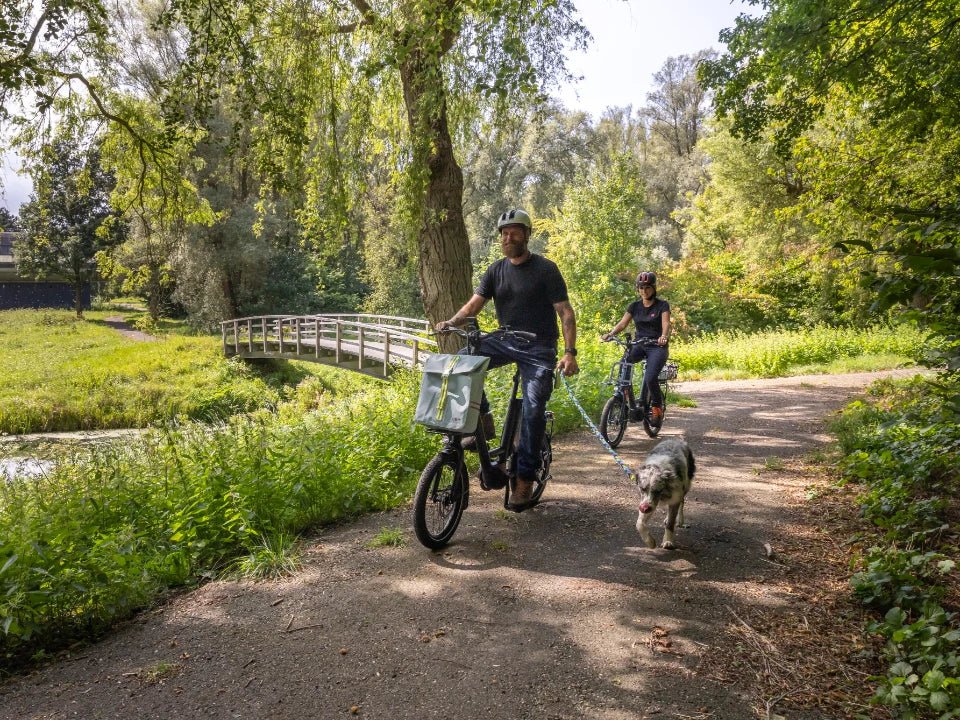 i:SY Compact Comfort Automatic - Dutch Cargo (AU) - i:SY - E - bike - i:SY Compact Comfort Automatic