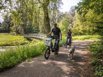 i:SY Compact Comfort Automatic - Dutch Cargo (AU) - i:SY - E - bike - i:SY Compact Comfort Automatic