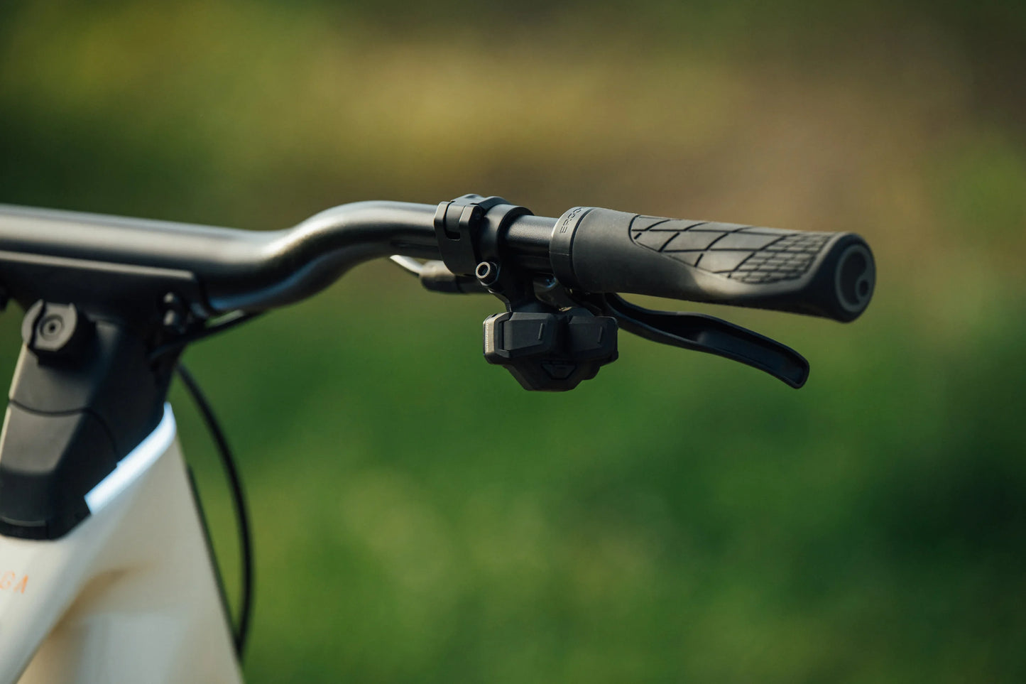 Orbea Muga Electric Bike