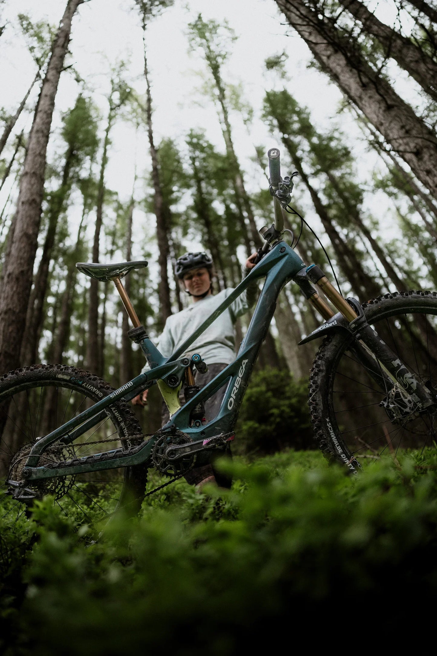 Orbea Wild LT H-Series 2027 (Avinox)