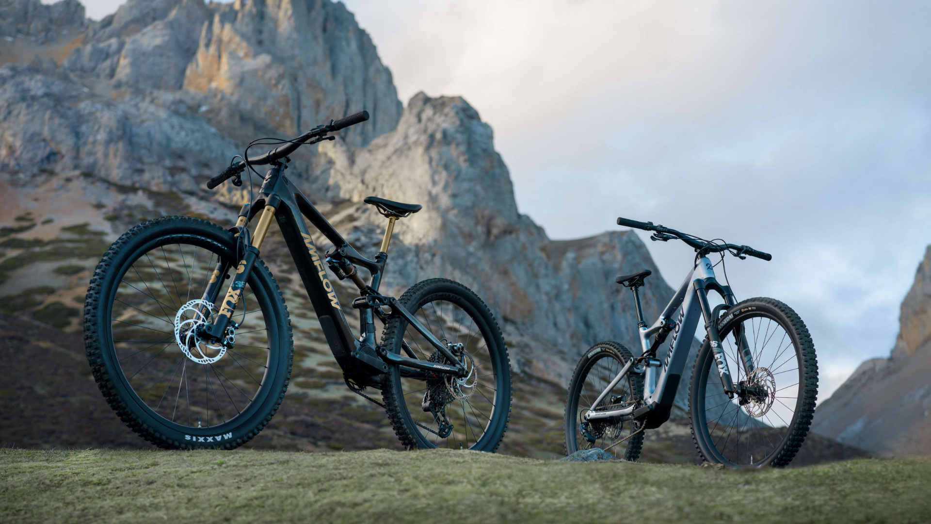 Mountain Bikes Dutch Cargo bike