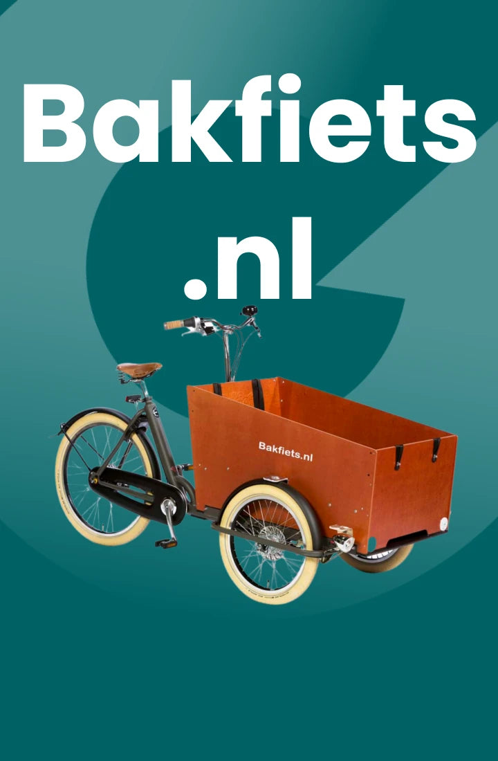 Dutch cargo trike hotsell