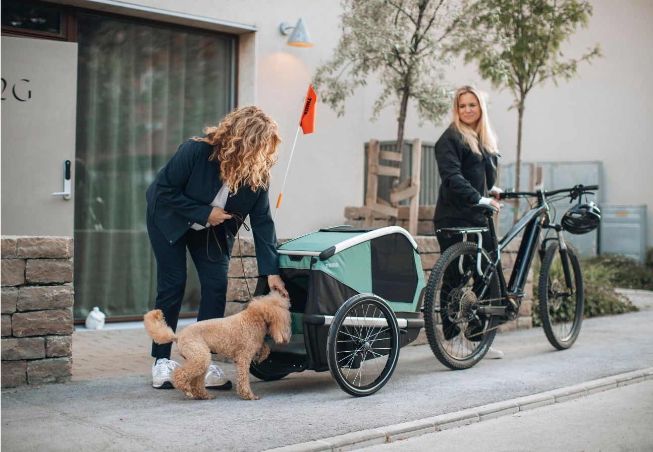 Thule Bexey Dog Trailer - Dutch Cargo (AU) - Thule Accessories - Accessories - Thule Bexey Dog Trailer